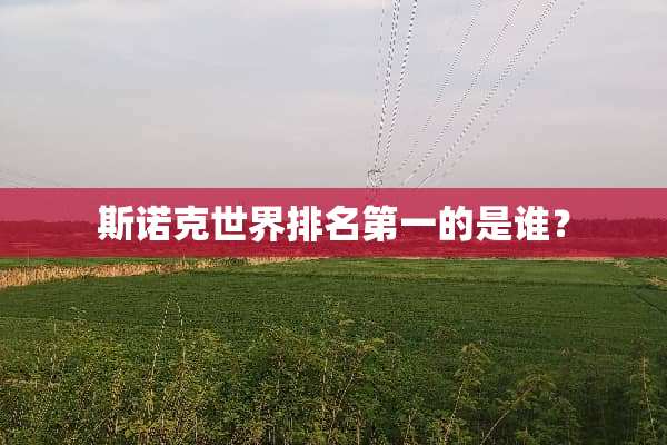 **克世界排名第一的是谁？