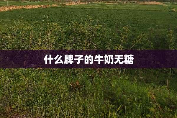 什么牌子的牛奶无糖