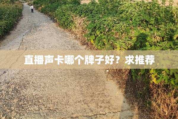 直播声卡哪个牌子好？求推荐