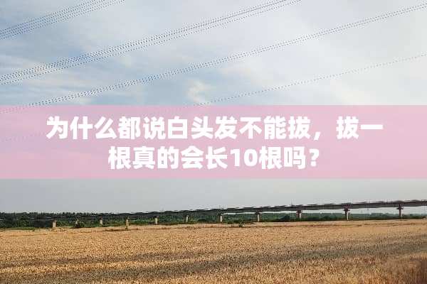为什么都说白头发不能拔，拔一根真的会长10根吗？