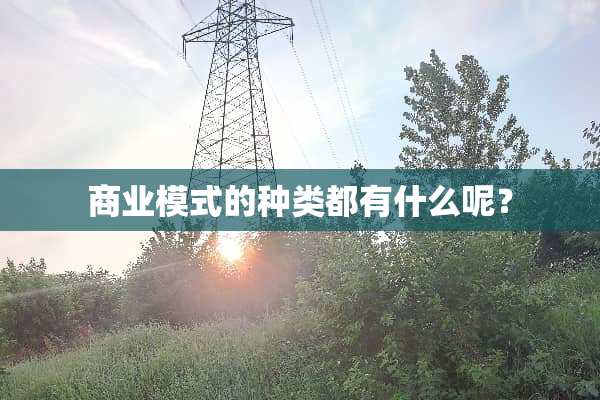 商业模式的种类都有什么呢？