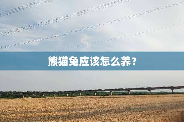 熊猫兔应该怎么养？