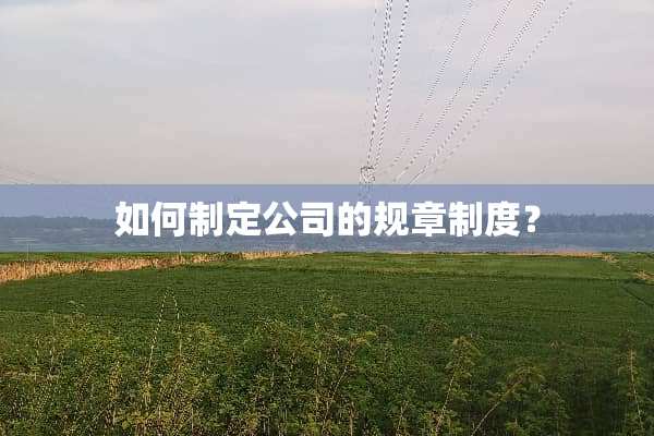 如何制定公司的规章制度？