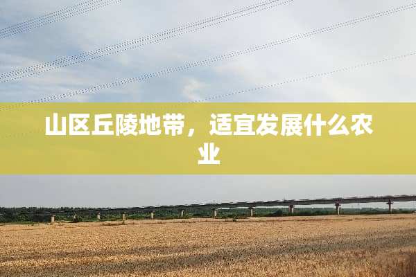 山区丘陵地带，适宜发展什么农业