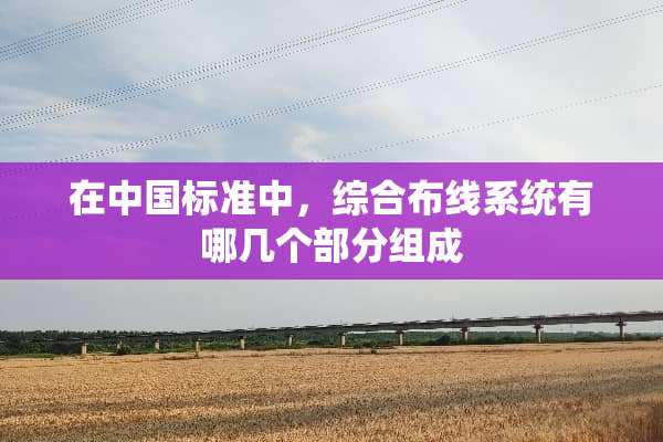 在中国标准中，综合布线系统有哪几个部分组成