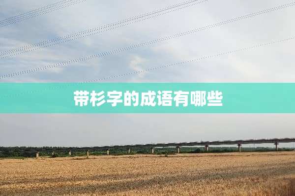 带杉字的成语有哪些