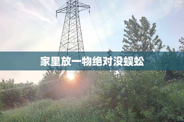家里放一物绝对没蜈蚣