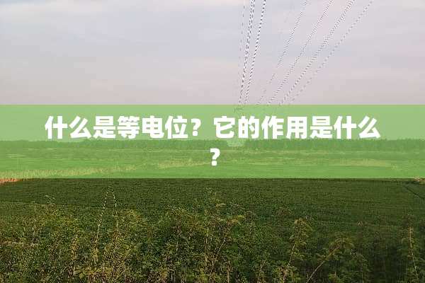 什么是等电位？它的作用是什么？