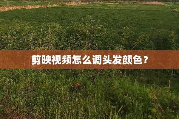 剪映视频怎么调头发颜色？
