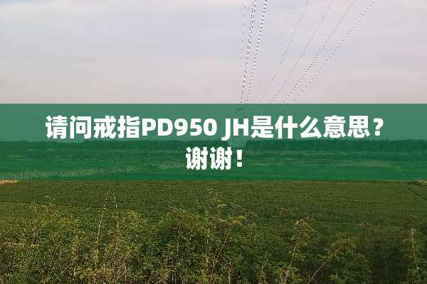 请问戒指PD950 JH是什么意思？谢谢！