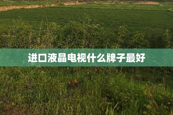 进口液晶电视什么牌子最好