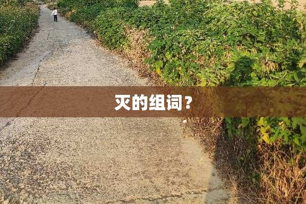 灭的组词？
