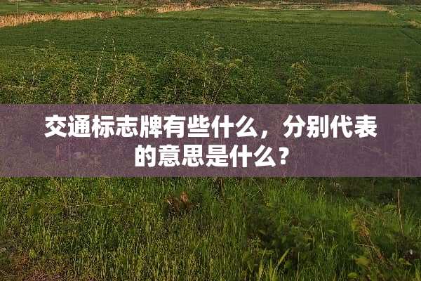 交通标志牌有些什么，分别代表的意思是什么？