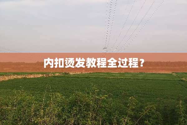 内扣烫发教程全过程？
