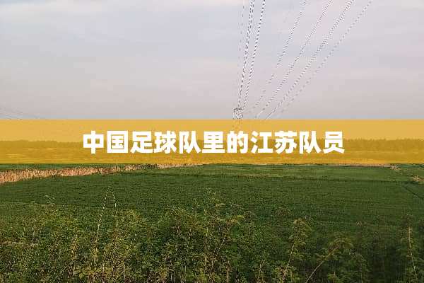 中国**队里的江苏队员