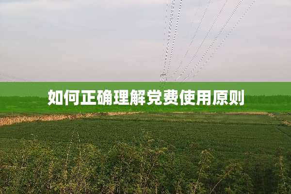 如何正确理解*费使用原则