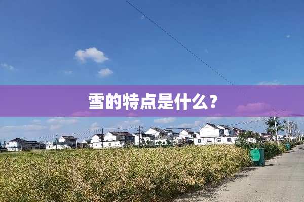 雪的特点是什么？
