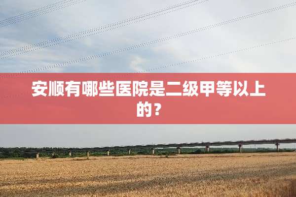 安顺有哪些医院是二级甲等以上的？
