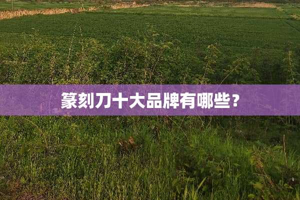 篆刻刀十大品牌有哪些？