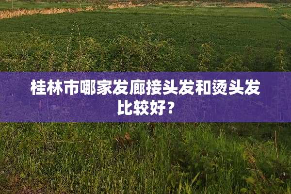 桂林市哪家发廊接头发和烫头发比较好？