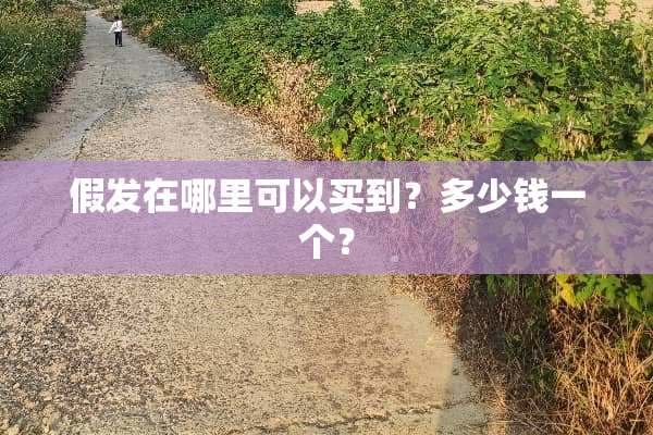 假发在哪里可以买到？多少钱一个？