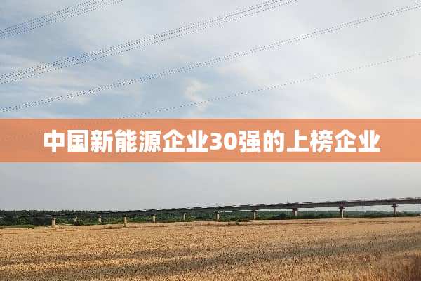 中国新能源企业30强的上榜企业