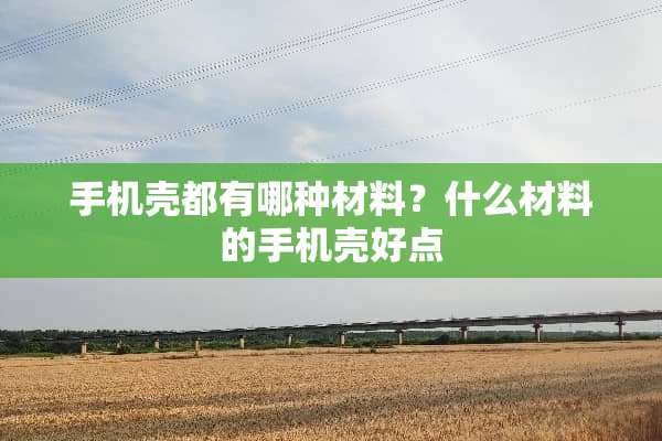 手机壳都有哪种材料？什么材料的手机壳好点