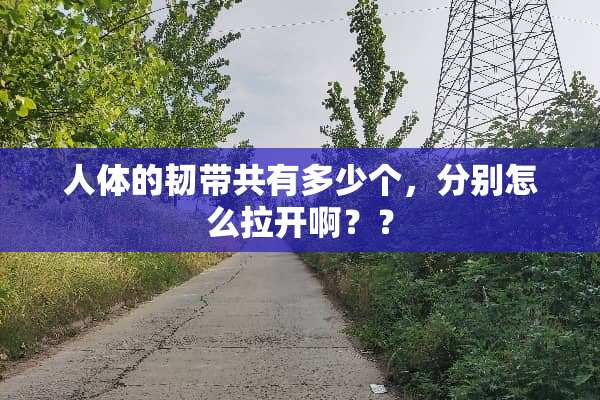 人体的韧带共有多少个，分别怎么拉开啊？？