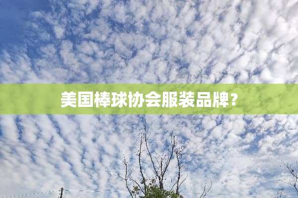 美国棒球协会服装品牌？