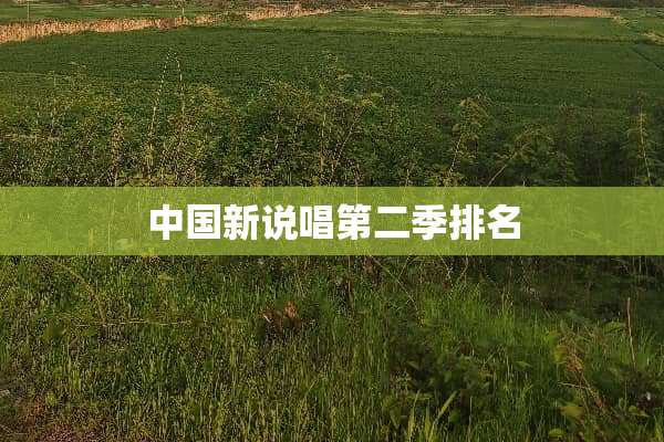 中国新说唱第二季排名