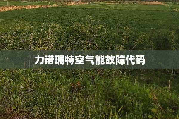 力诺瑞特空气能故障代码