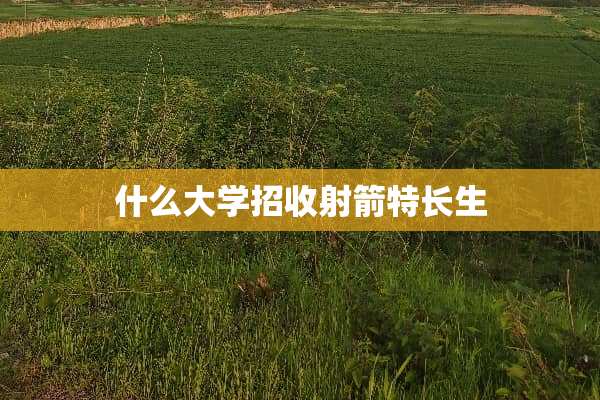 什么大学招收射箭特长生