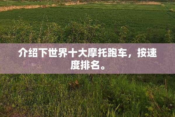 介绍下世界十大摩托跑车，按速度排名。