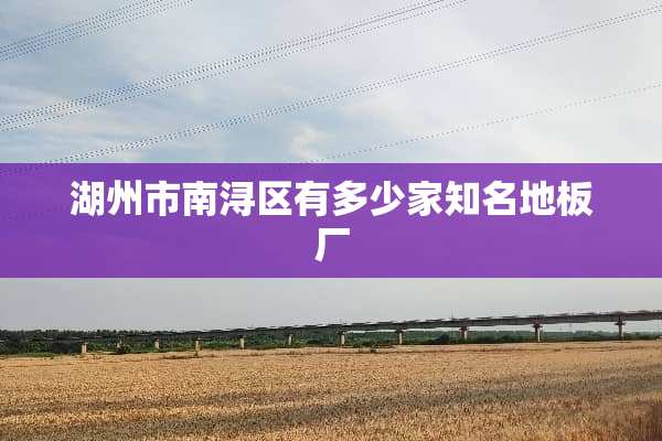 湖州市南浔区有多少家知名地板厂