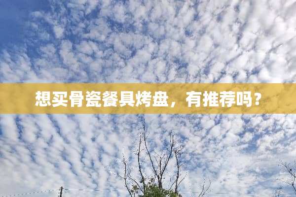 想买骨瓷餐具烤盘，有推荐吗？