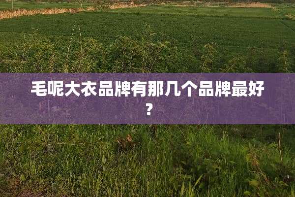 毛呢大衣品牌有那几个品牌最好？