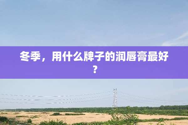 冬季，用什么牌子的润唇膏最好？