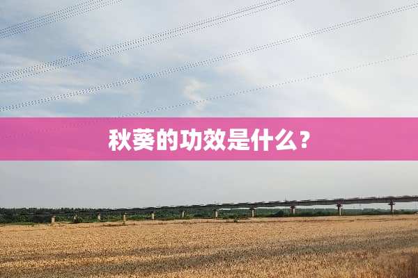 秋葵的功效是什么？