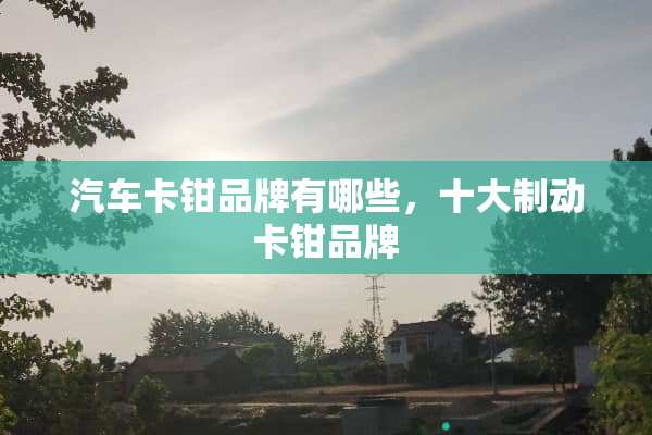 汽车卡钳品牌有哪些，十大制动卡钳品牌
