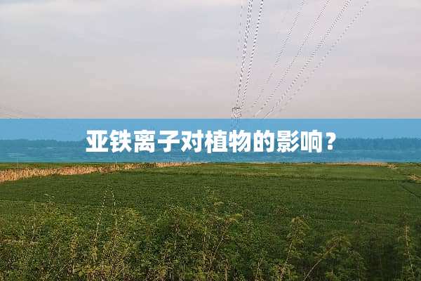 亚铁离子对植物的影响？