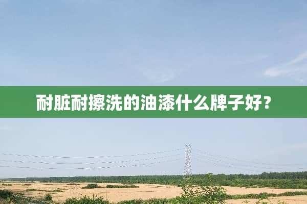 耐脏耐擦洗的油漆什么牌子好？