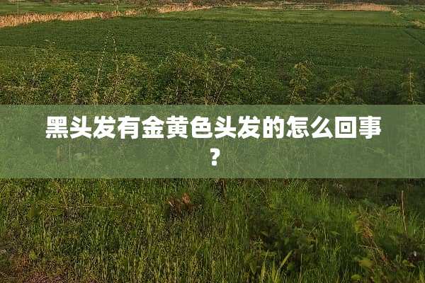 黑头发有金黄色头发的怎么回事？