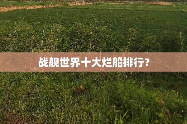 战舰世界十大烂船排行？
