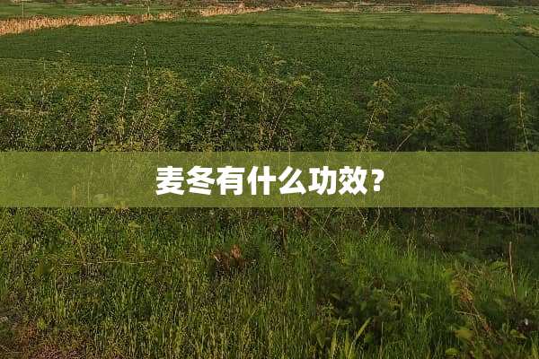 麦冬有什么功效？