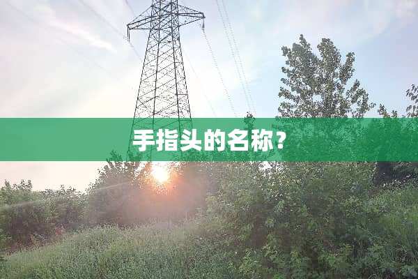 手指头的名称？