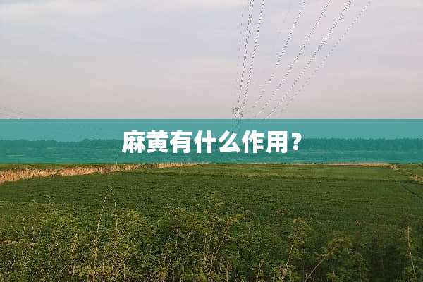 麻黄有什么作用？