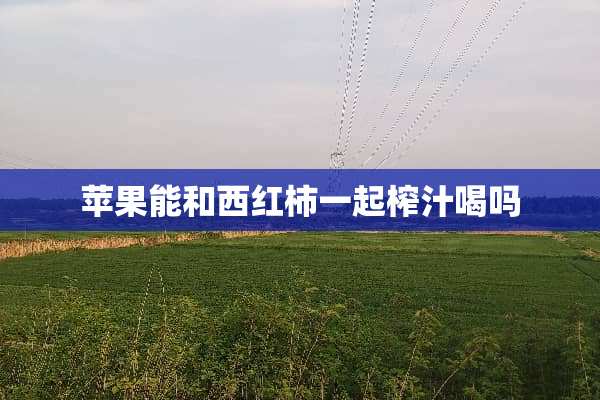 苹果能和西红柿一起榨汁喝吗