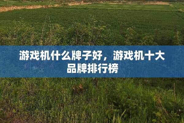 游戏机什么牌子好，游戏机十大品牌排行榜