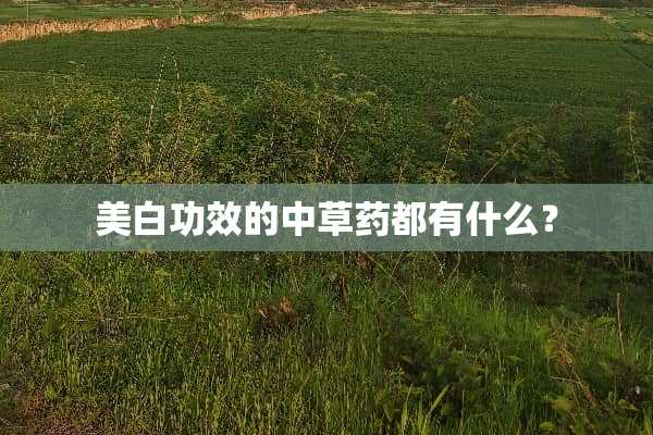 美白功效的中草药都有什么？
