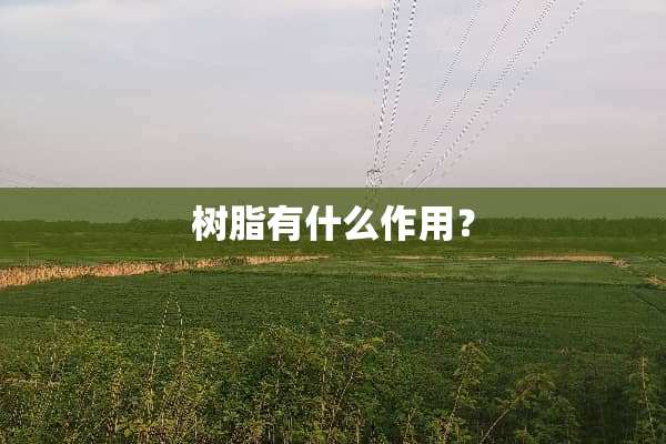 树脂有什么作用？